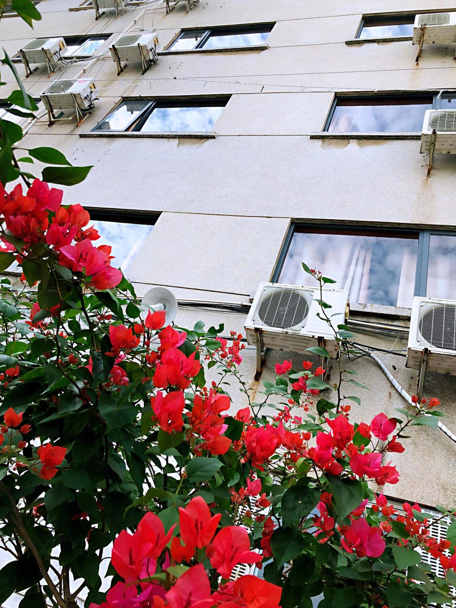Lakeside Inn Guilin Esterno foto